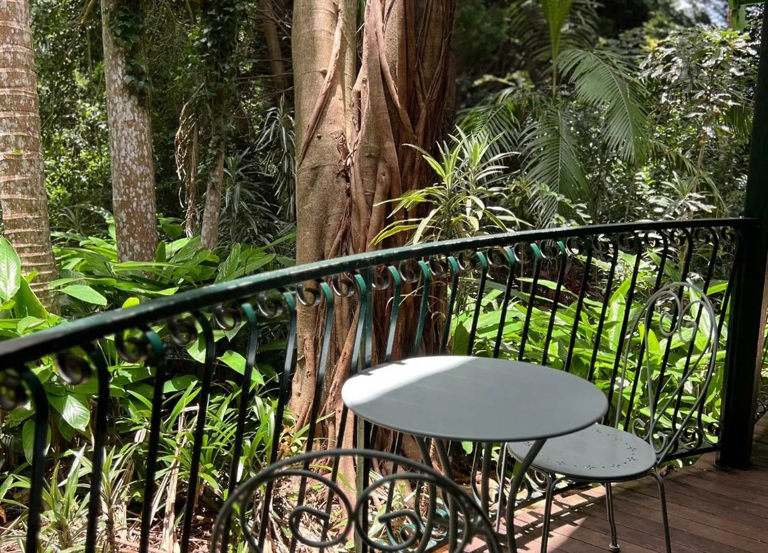 Gallery Walk Chalets - Tamborine Mountain