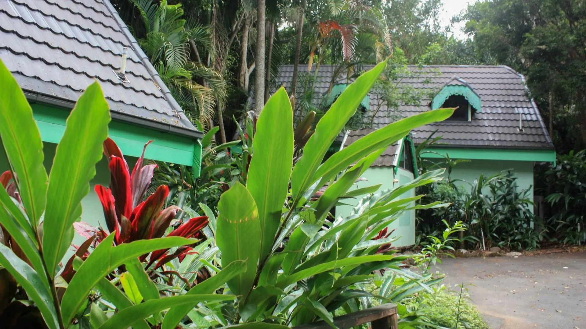 Gallery Walk Chalets - Tamborine Mountain  Mount Tamborine